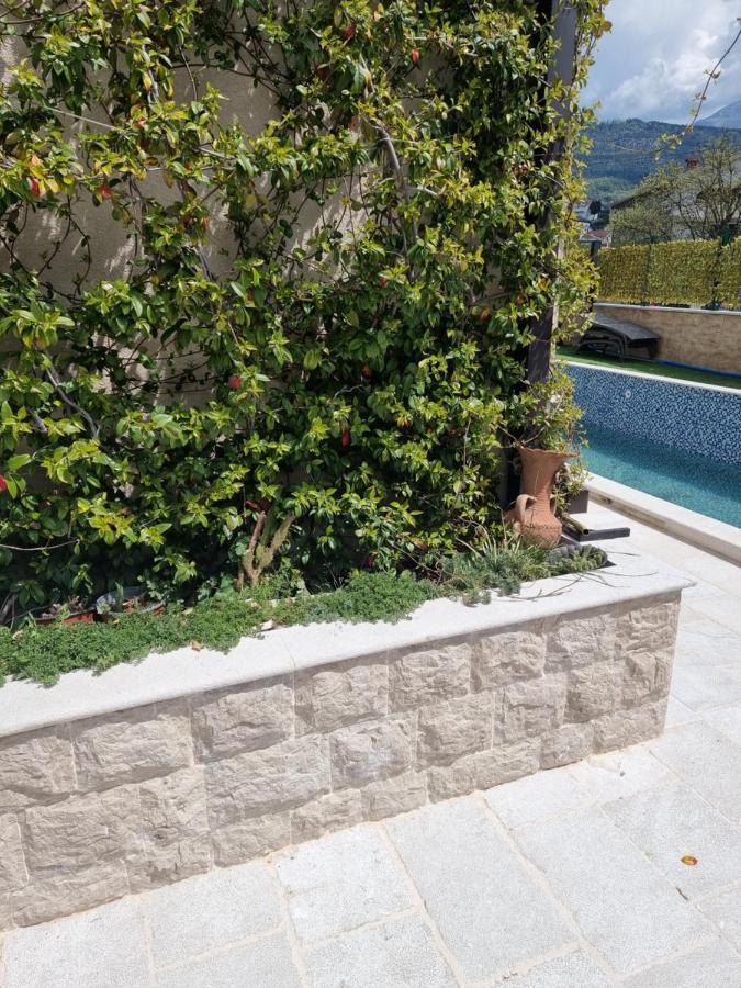 Villa With Pool & Garden Apartment 1 Ognjen Tivat Buitenkant foto